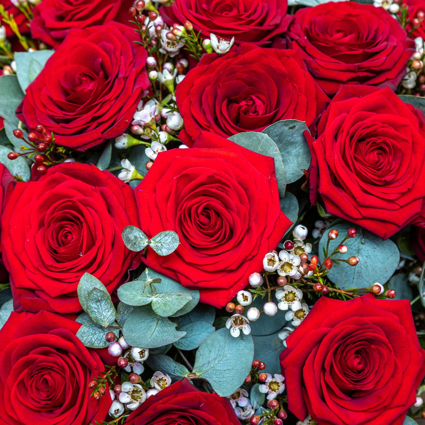 Red Roses for Local Delivery