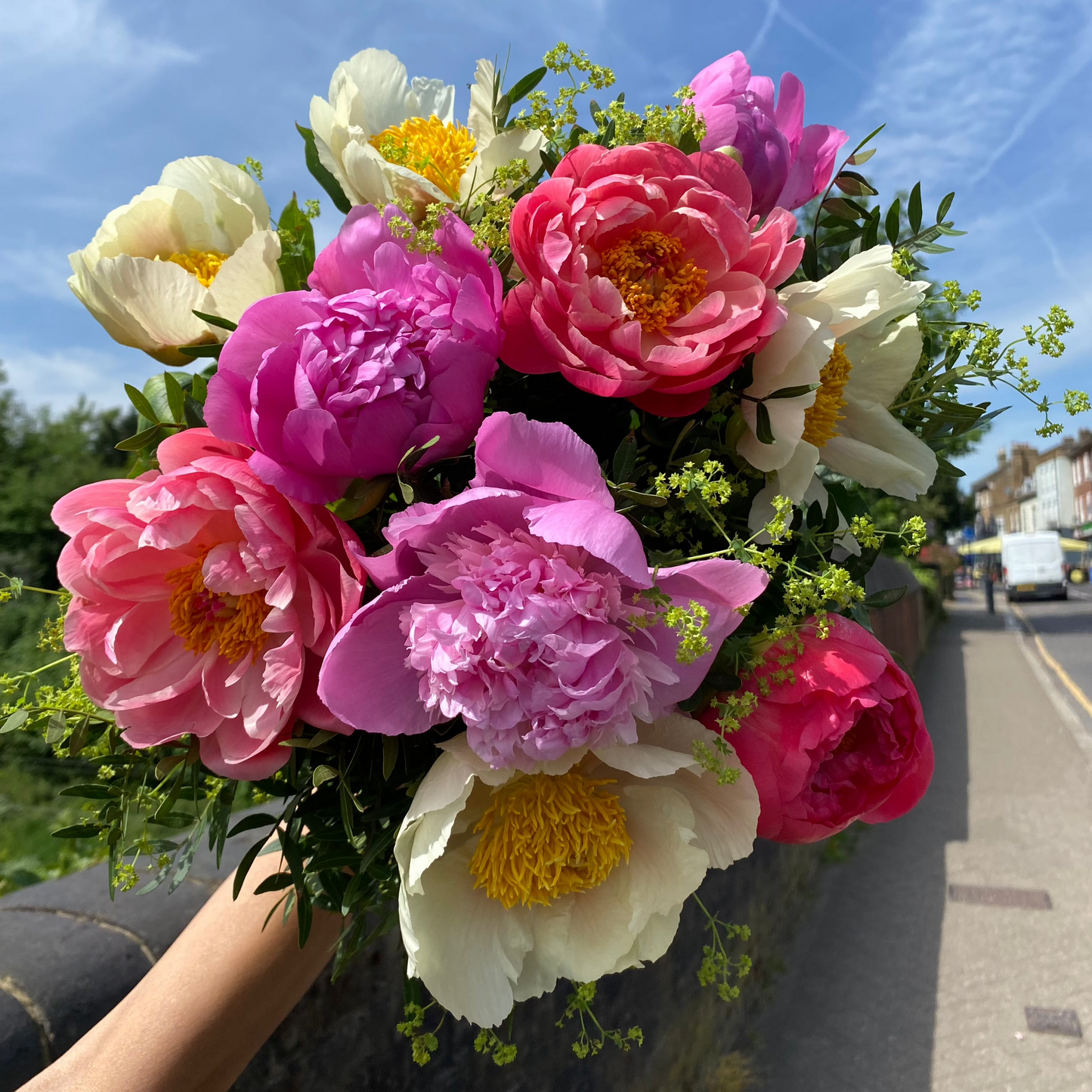 Peony Party!