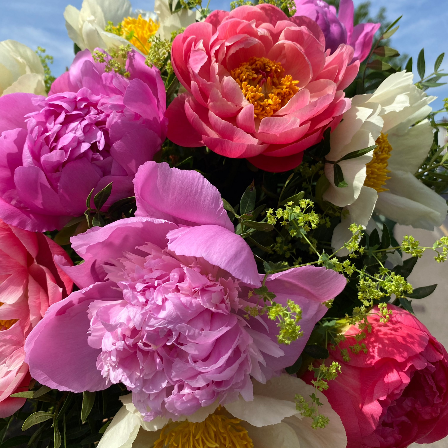 Peony Party!