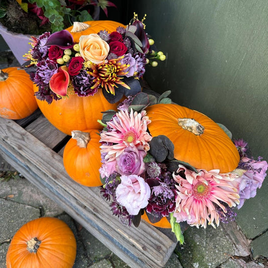 Pumpkin Arrangement