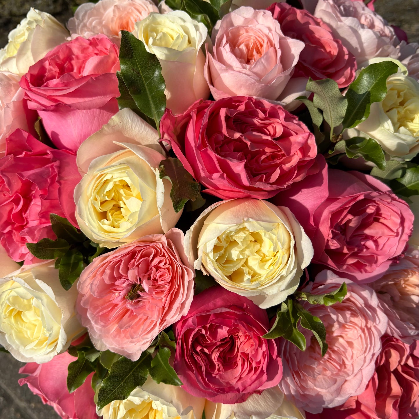 roses for delivery