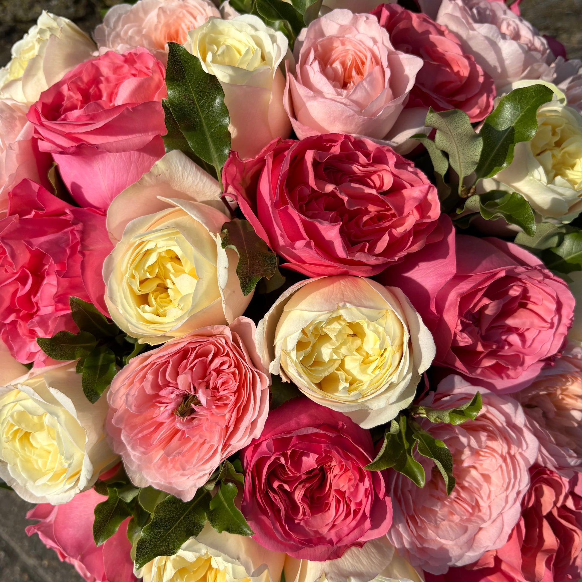 roses for delivery