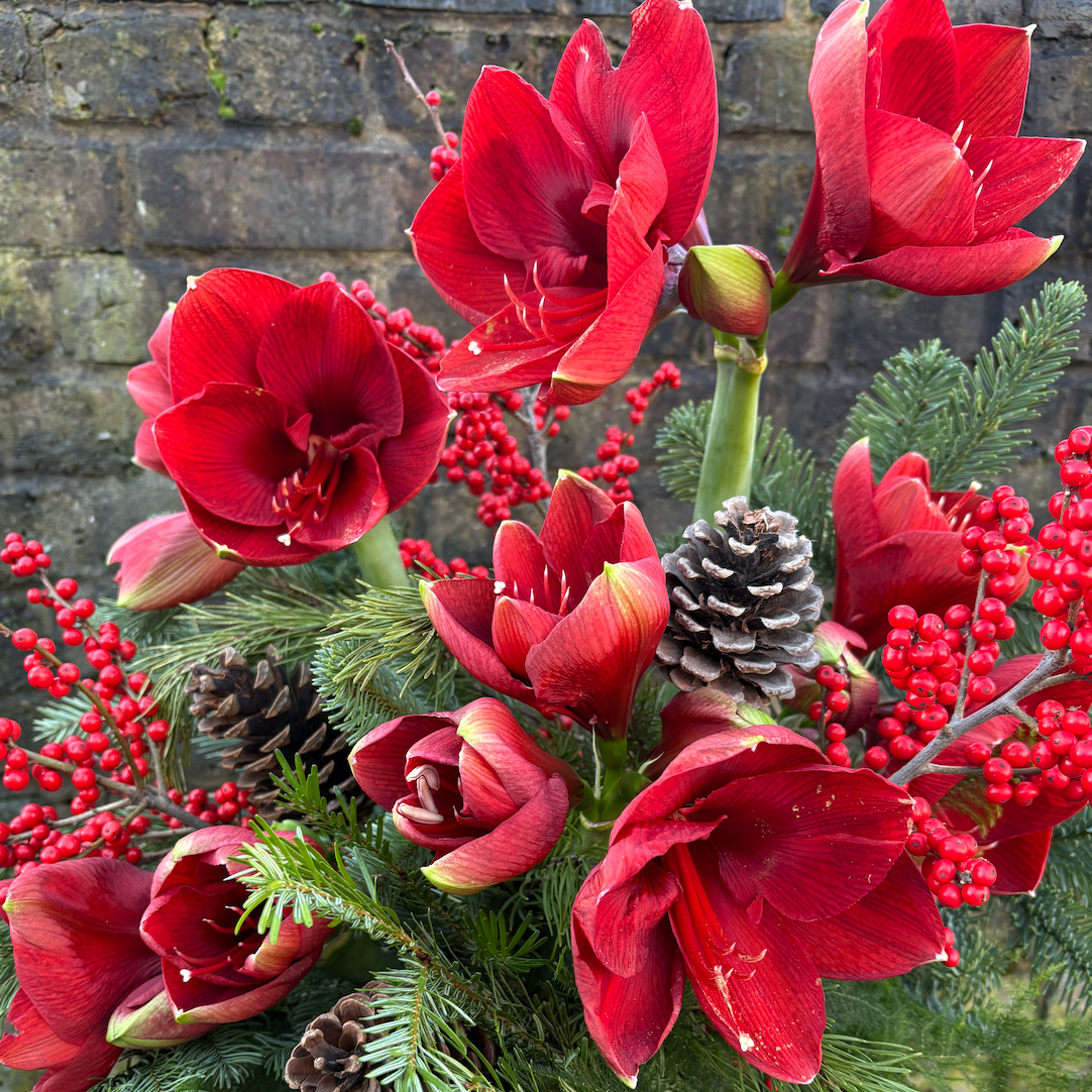 christmas flower delivery